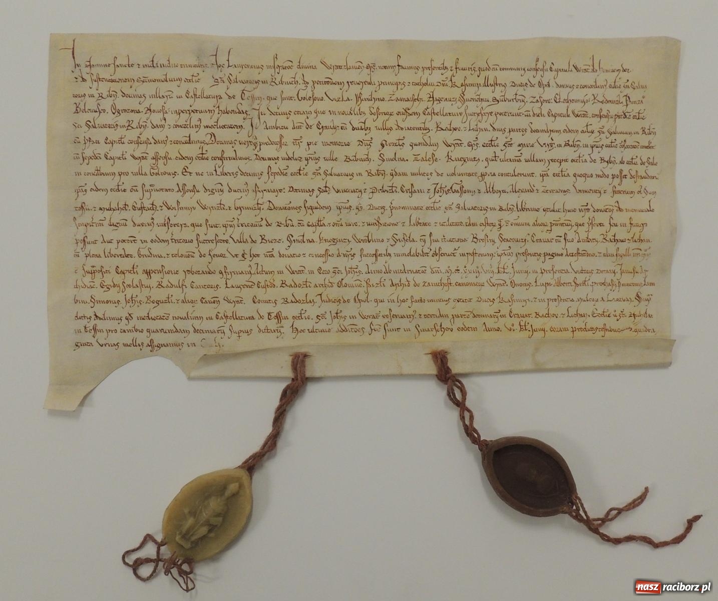 Zdjęcie w galerii na portalu naszraciborz.pl: W hołdzie trzem legendom raciborskich zapasów. Za nami memoriał Pieronkiewicza, Starzyńskiego i Delonga wiadomości z regionu