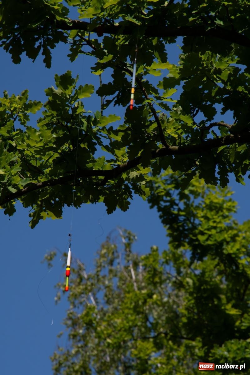 Zdjęcie w galerii na portalu naszraciborz.pl: Pod Oborą złowili taaaaką rybę! Zawody wędkarskie z okazji Dnia Dziecka wiadomości z regionu