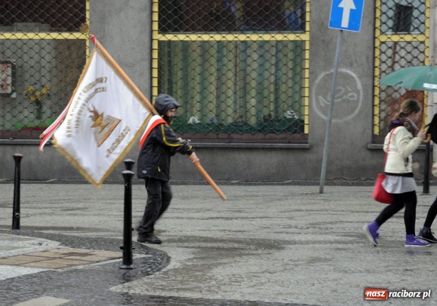 Zdjęcie w galerii na portalu naszraciborz.pl: Święto 3 V: Patrioci w strugach deszczu wiadomości z regionu