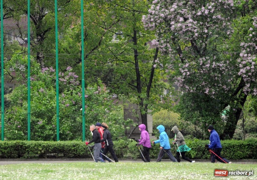 Zdjęcie w galerii na portalu naszraciborz.pl: Bieg bez granic, ale w chłodzie wiadomości z regionu