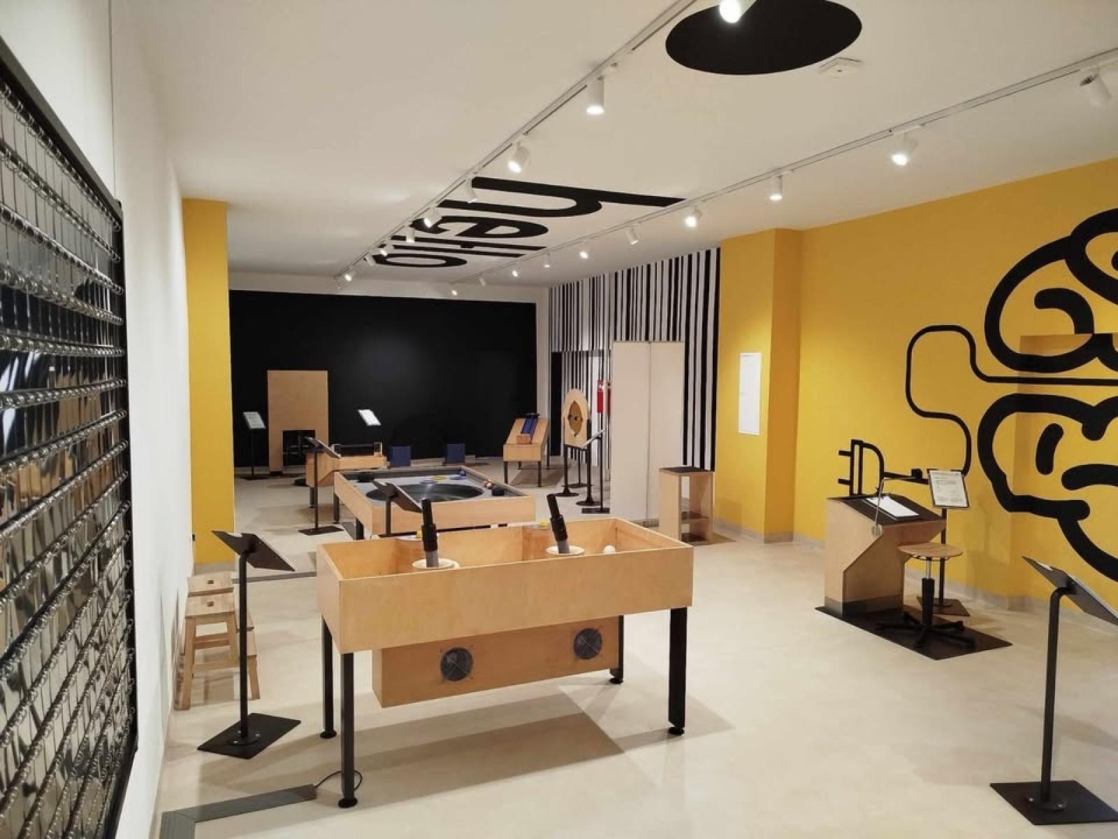 Zdjęcie w galerii na portalu naszraciborz.pl: Nowe stacje badawcze w SOWA Racibórz – nauka jeszcze ciekawsza wiadomości z regionu