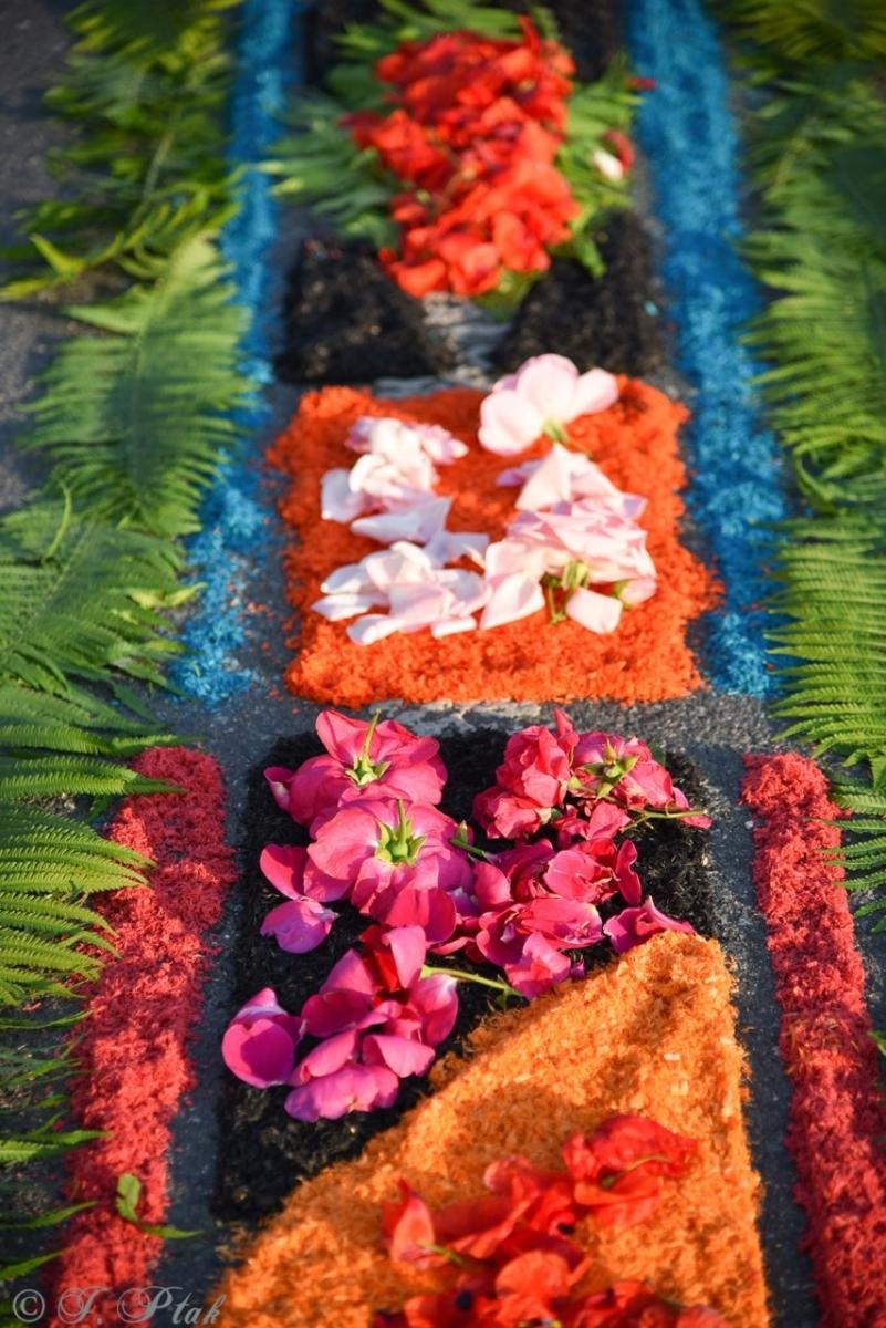 Zdjęcie w galerii na portalu naszraciborz.pl: Racibórz i powiat gotowy na Boże Ciało. Procesje, kwietne dywany i nowa trasa w parafii WNMP [FOTO i WIDEO] wiadomości z regionu