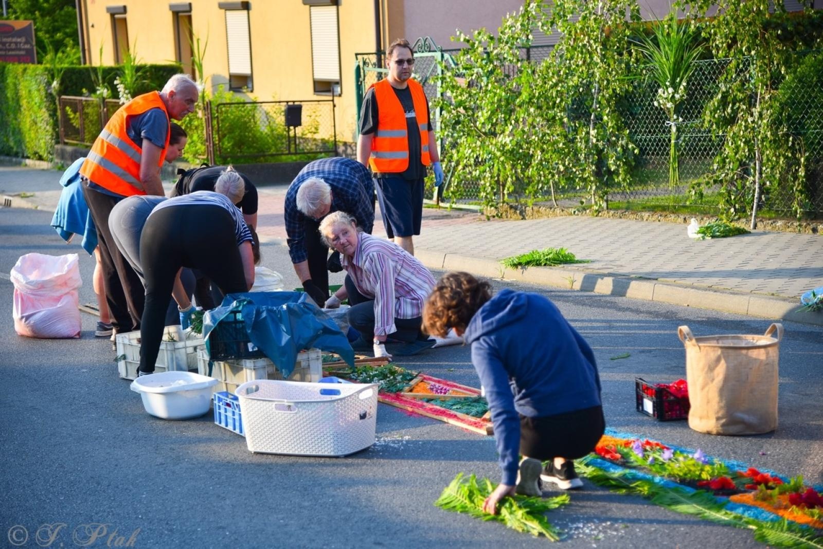 Zdjęcie w galerii na portalu naszraciborz.pl: Racibórz i powiat gotowy na Boże Ciało. Procesje, kwietne dywany i nowa trasa w parafii WNMP [FOTO i WIDEO] wiadomości z regionu
