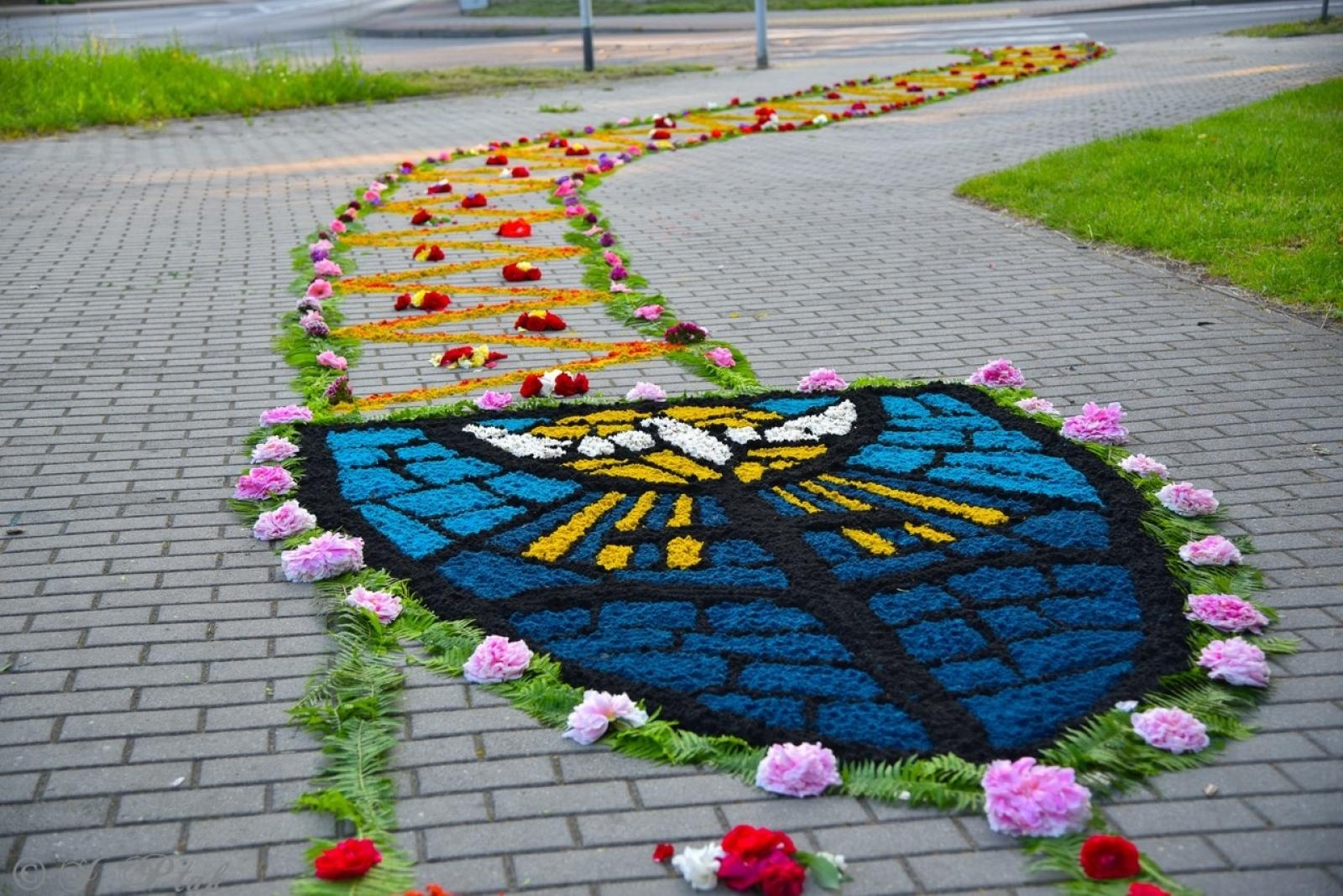 Zdjęcie w galerii na portalu naszraciborz.pl: Racibórz i powiat gotowy na Boże Ciało. Procesje, kwietne dywany i nowa trasa w parafii WNMP [FOTO i WIDEO] wiadomości z regionu