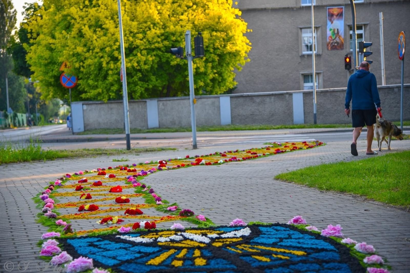 Zdjęcie w galerii na portalu naszraciborz.pl: Racibórz i powiat gotowy na Boże Ciało. Procesje, kwietne dywany i nowa trasa w parafii WNMP [FOTO i WIDEO] wiadomości z regionu