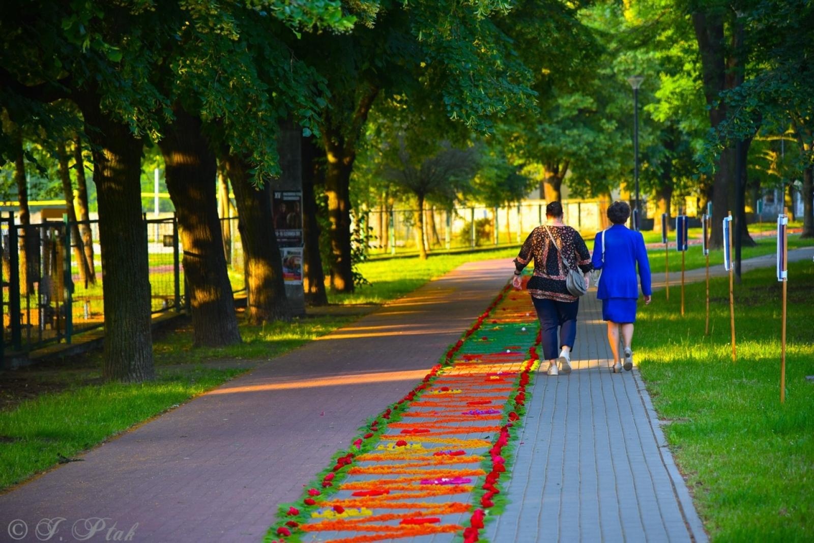 Zdjęcie w galerii na portalu naszraciborz.pl: Racibórz i powiat gotowy na Boże Ciało. Procesje, kwietne dywany i nowa trasa w parafii WNMP [FOTO i WIDEO] wiadomości z regionu