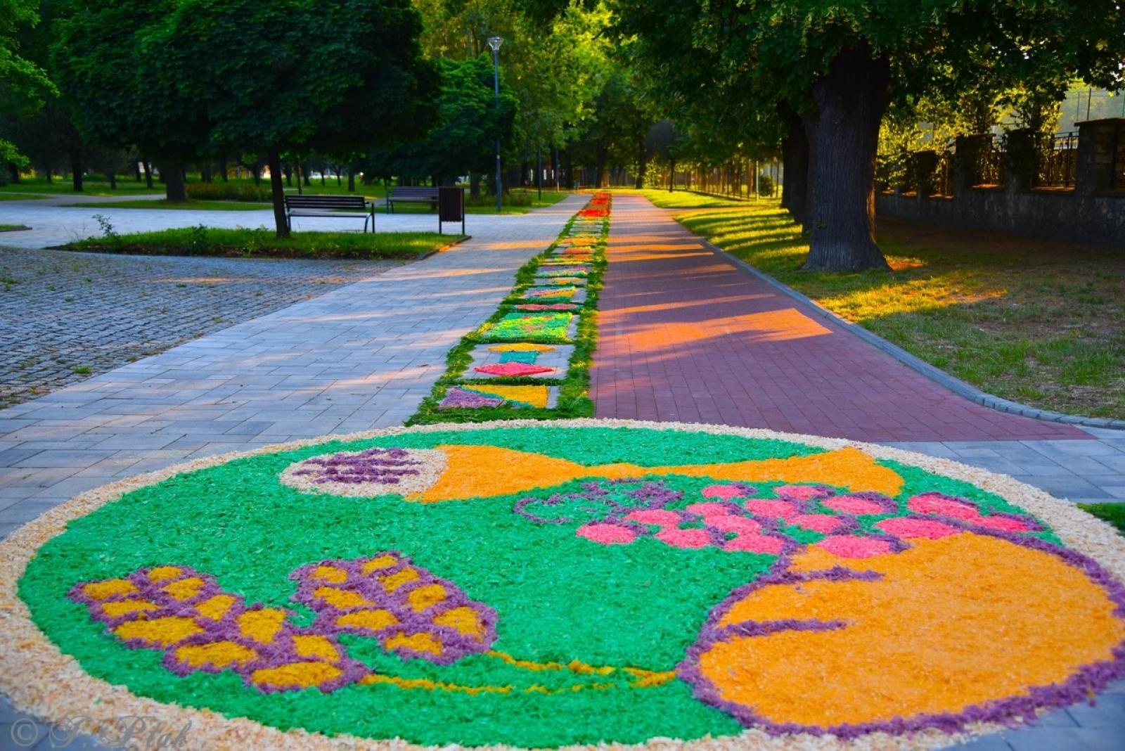 Zdjęcie w galerii na portalu naszraciborz.pl: Racibórz i powiat gotowy na Boże Ciało. Procesje, kwietne dywany i nowa trasa w parafii WNMP [FOTO i WIDEO] wiadomości z regionu