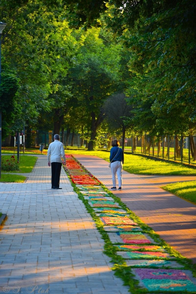 Zdjęcie w galerii na portalu naszraciborz.pl: Racibórz i powiat gotowy na Boże Ciało. Procesje, kwietne dywany i nowa trasa w parafii WNMP [FOTO i WIDEO] wiadomości z regionu