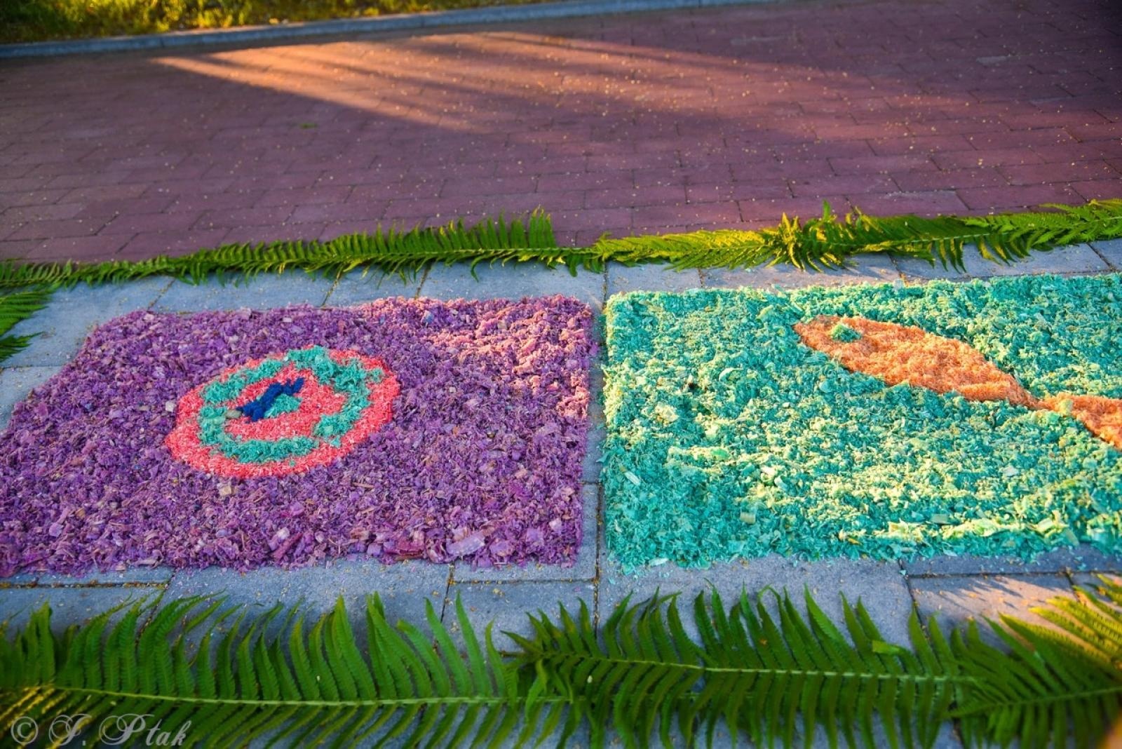 Zdjęcie w galerii na portalu naszraciborz.pl: Racibórz i powiat gotowy na Boże Ciało. Procesje, kwietne dywany i nowa trasa w parafii WNMP [FOTO i WIDEO] wiadomości z regionu