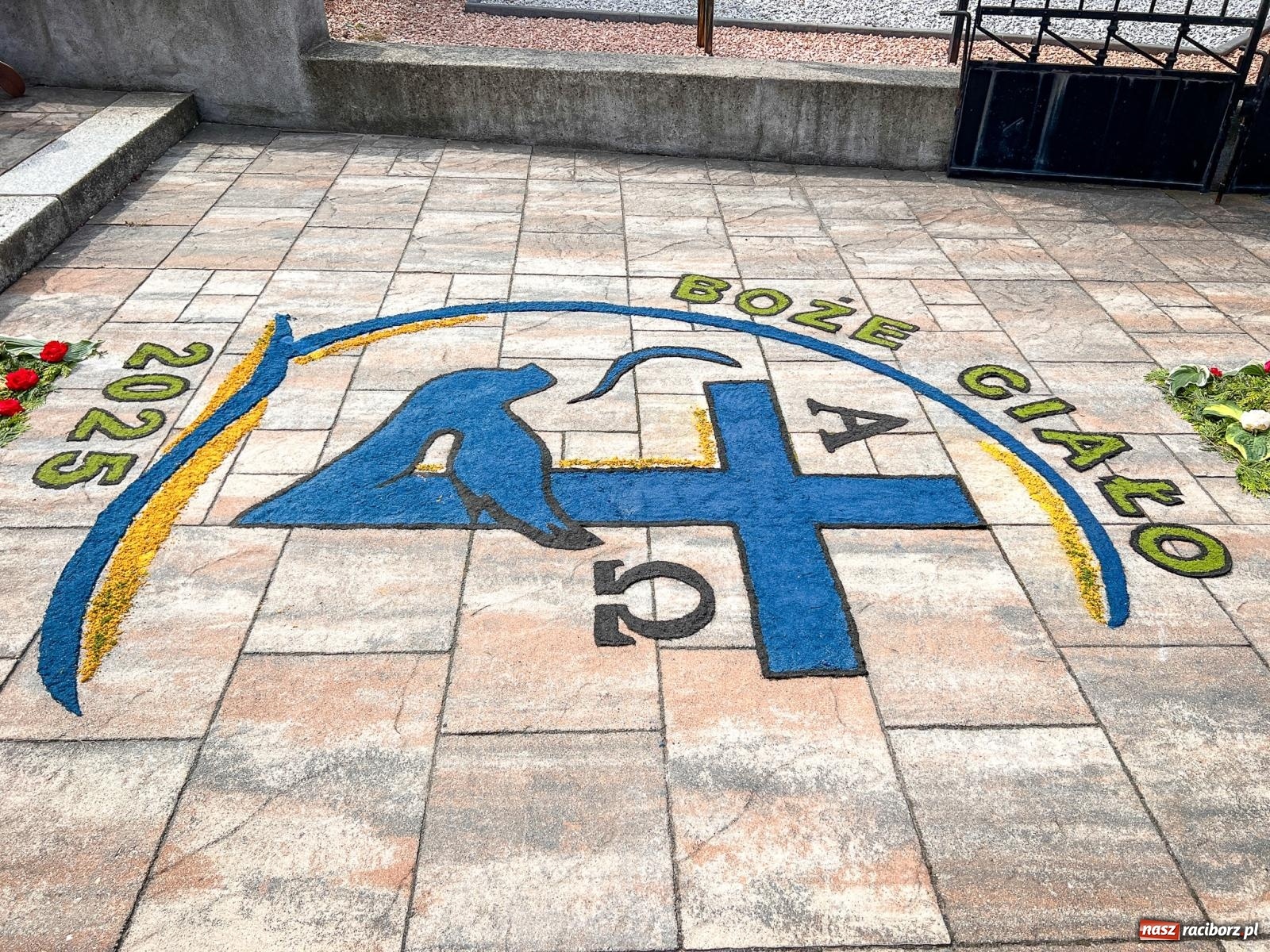 Zdjęcie w galerii na portalu naszraciborz.pl: Tradycyjna procesja Bożego Ciała w Brzeziu: dywany arcydzieła i modlitwa w sercu parafii [FOTO i WIDEO] wiadomości z regionu