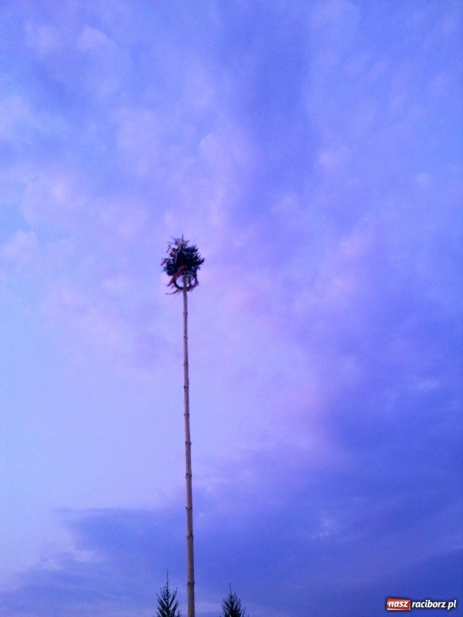 Zdjęcie w galerii na portalu naszraciborz.pl: Moik na szczęście i urodzaj wiadomości z regionu