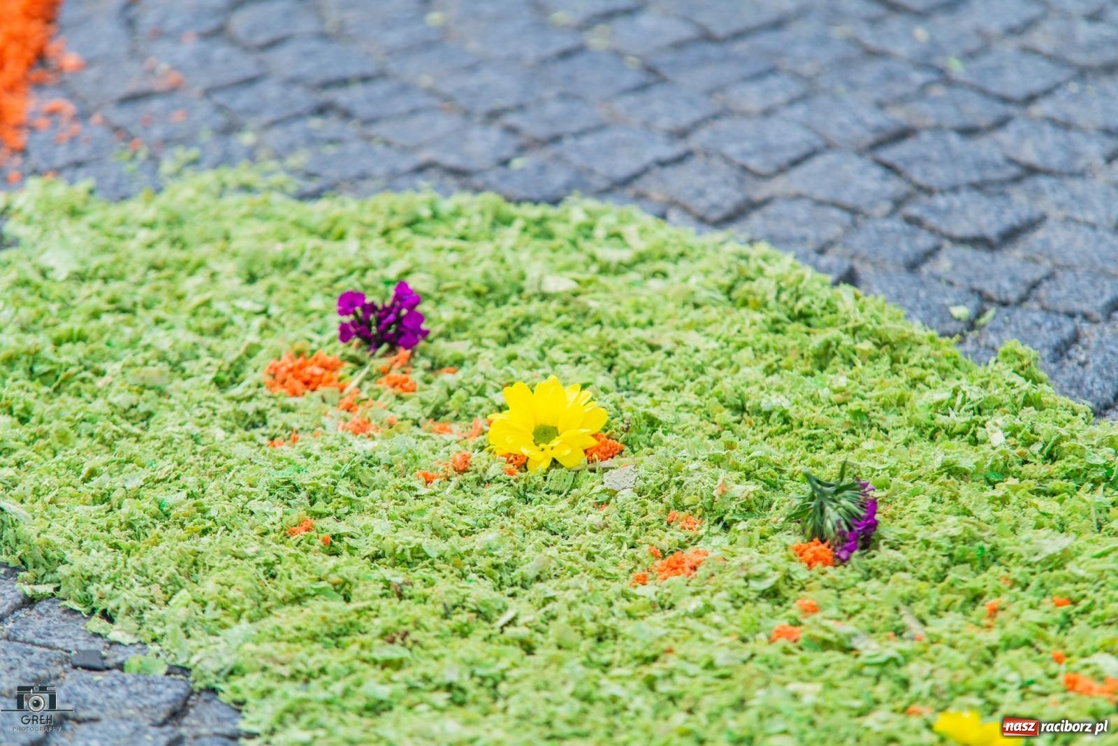 Zdjęcie w galerii na portalu naszraciborz.pl: Boże Ciało w parafii WNMP w Raciborzu – nowa trasa procesji i przypomnienie genezy święta wiadomości z regionu
