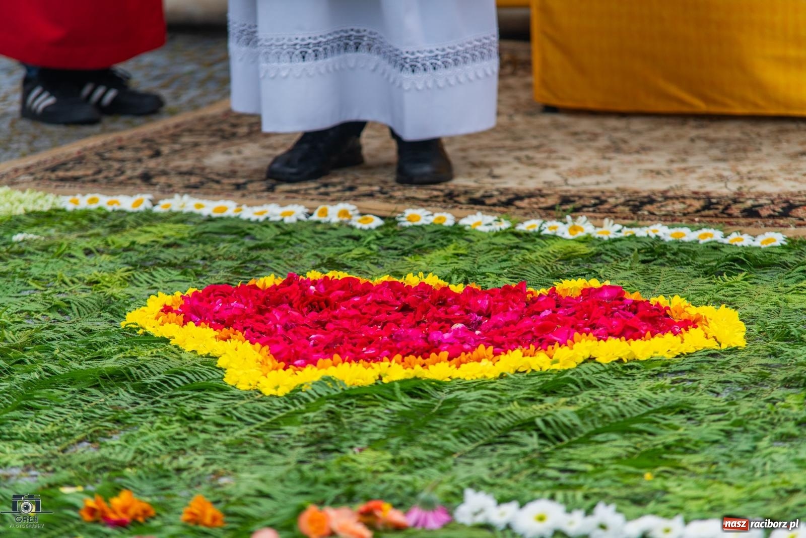 Zdjęcie w galerii na portalu naszraciborz.pl: Boże Ciało w parafii WNMP w Raciborzu – nowa trasa procesji i przypomnienie genezy święta wiadomości z regionu