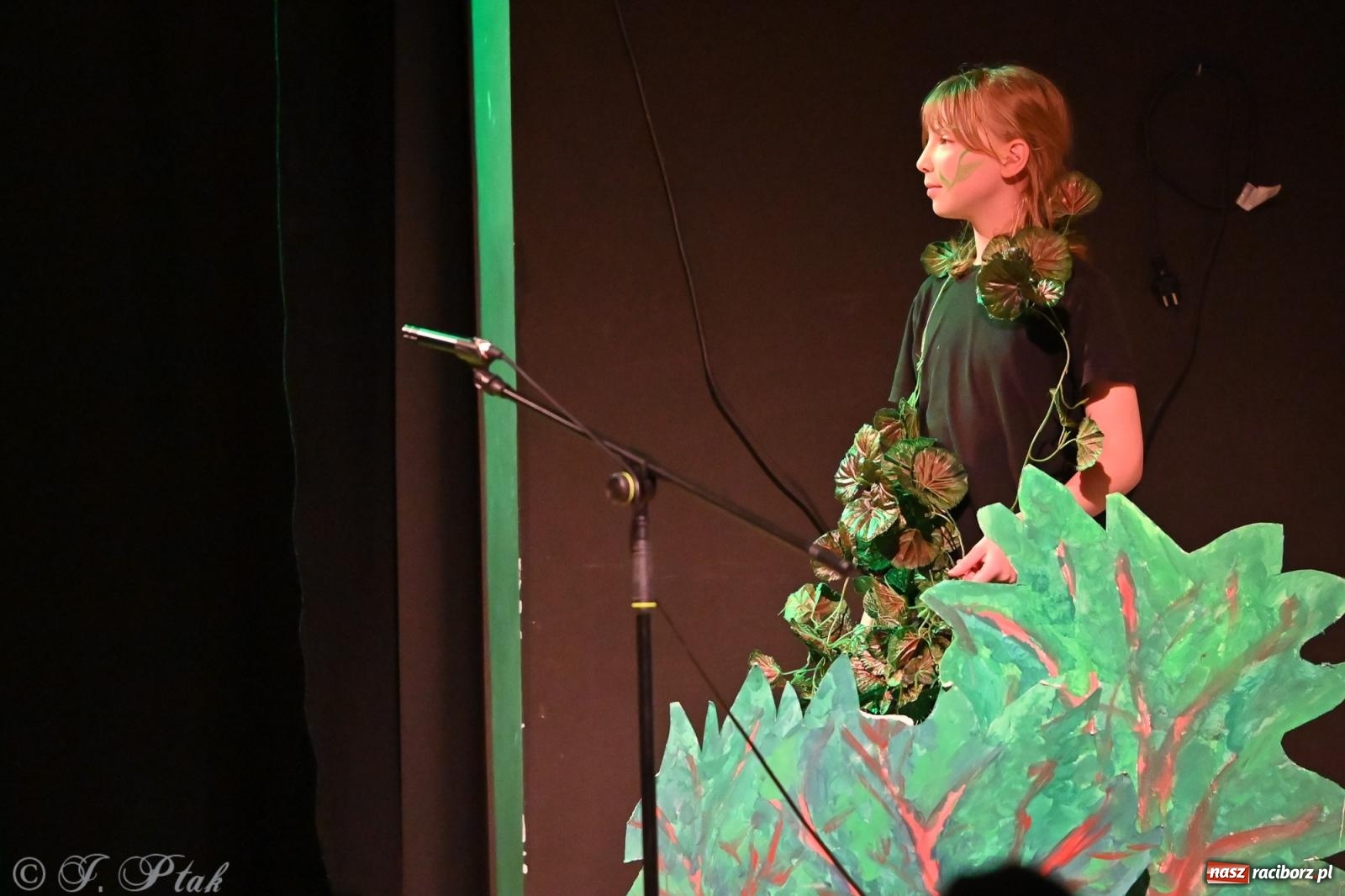 Zdjęcie w galerii na portalu naszraciborz.pl: Magia baśni na scenie MDK. Dziecięce talenty oczarowały publiczność [FOTO] wiadomości z regionu