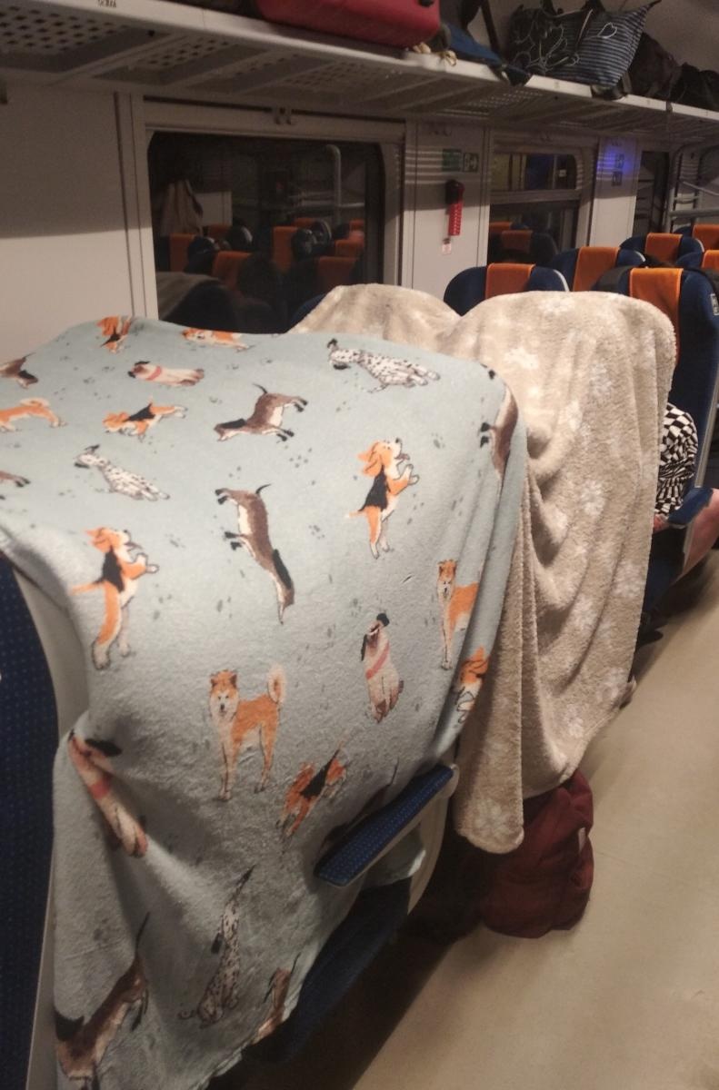 Zdjęcie w galerii na portalu naszraciborz.pl: XXX Jubileuszowy Festiwal Unihokeja o Puchar Bałtyku. 1000 uczestników, w tym reprezentantki Tworkowa wiadomości z regionu