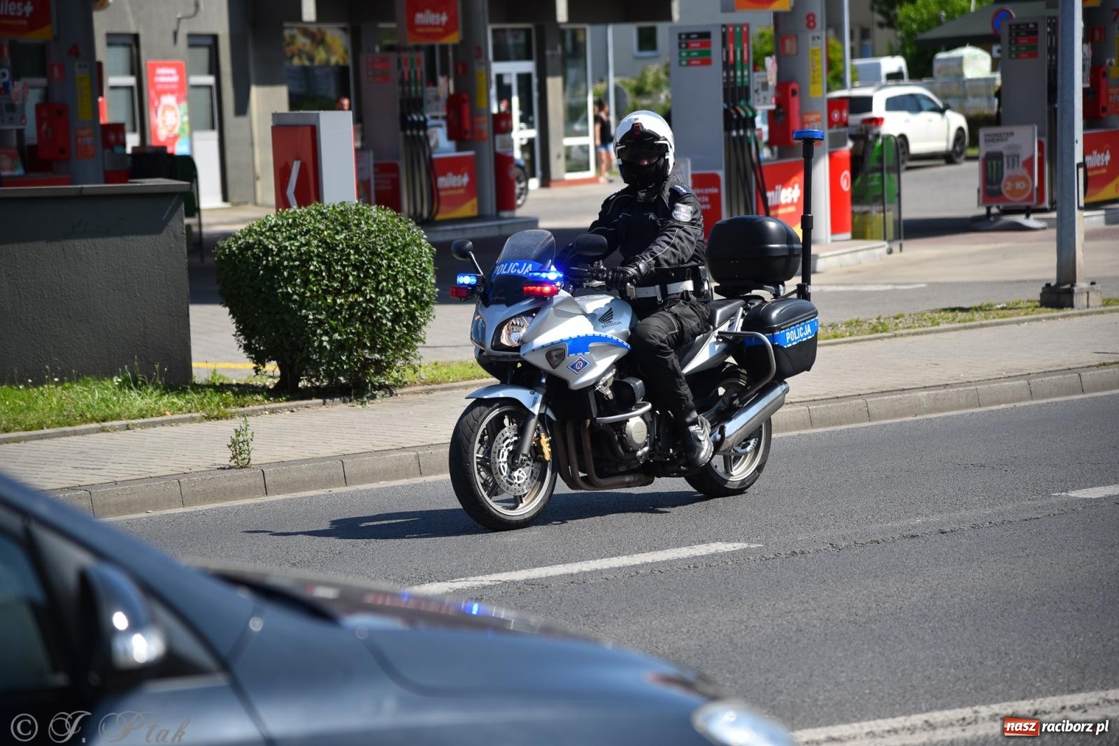 Zdjęcie w galerii na portalu naszraciborz.pl: Śląska mozaika na zamku. Korowód i barwy kultur na dziedzińcu Piastów wiadomości z regionu