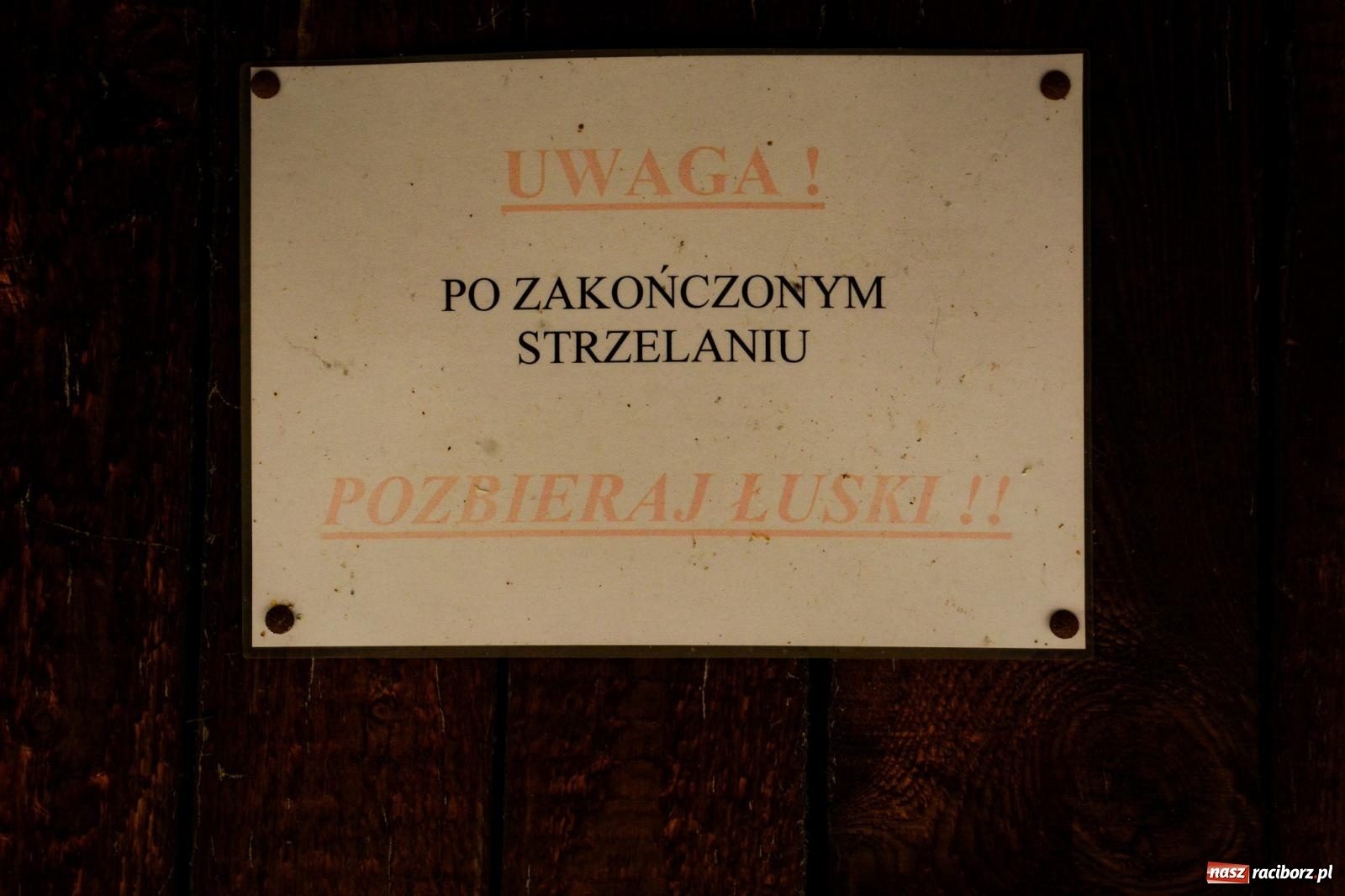 Zdjęcie w galerii na portalu naszraciborz.pl: Racibórz ma nowego króla kurkowego. Strzelanie na 20-lecie bractwa  wiadomości z regionu