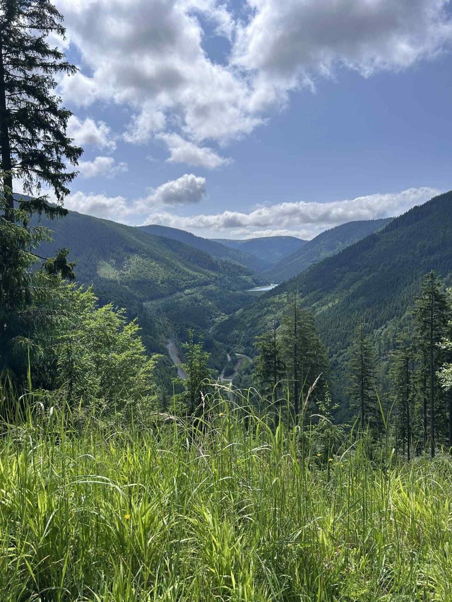 Zdjęcie w galerii na portalu naszraciborz.pl: Ekonomik na szlakach Jeseników – trzydniowa przygoda polsko-czeskiej młodzieży wiadomości z regionu