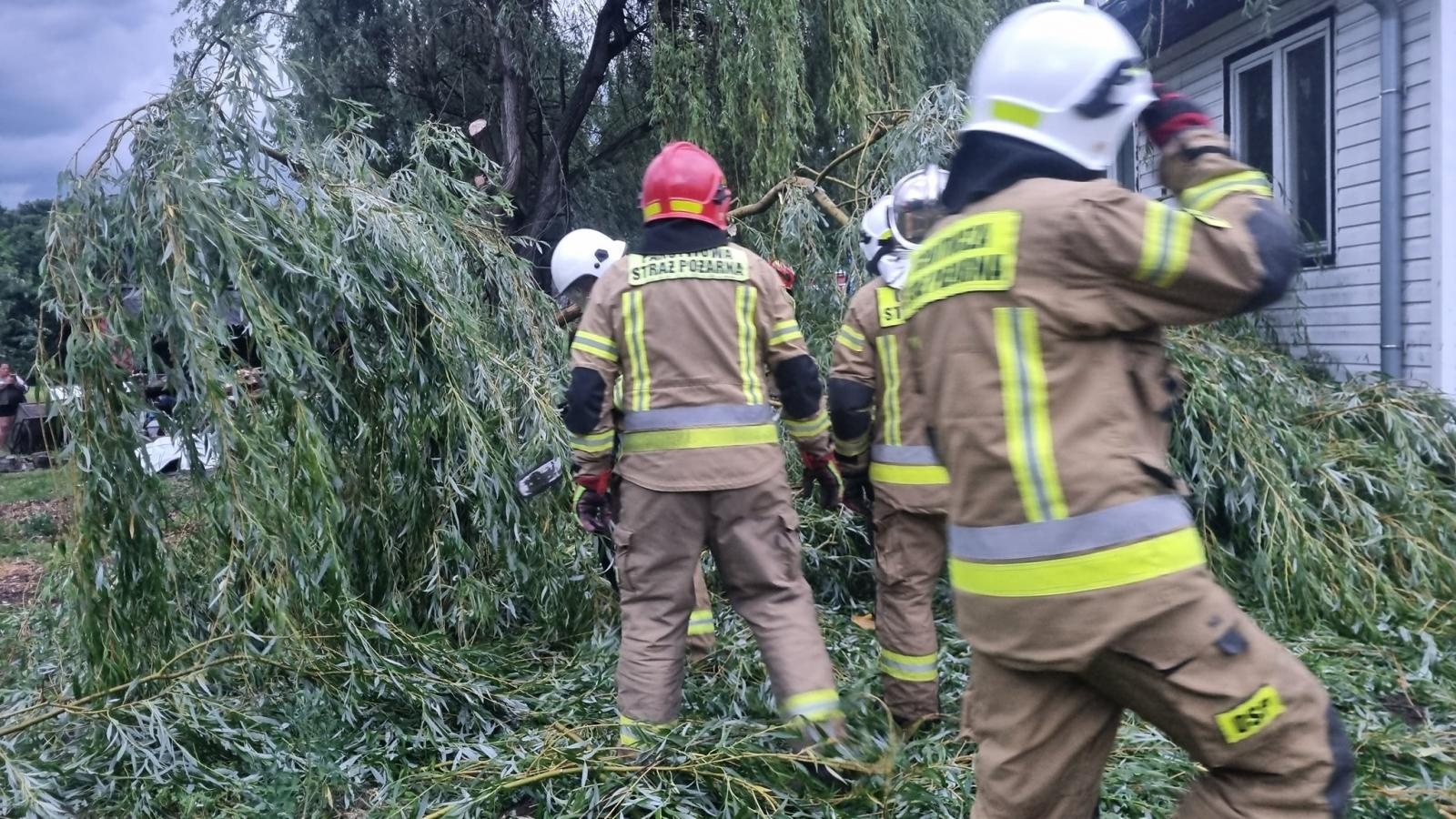 Zdjęcie w galerii na portalu naszraciborz.pl: Silny wiatr, zapach gazu i wojenne znalezisko. Pracowita doba raciborskich strażaków wiadomości z regionu