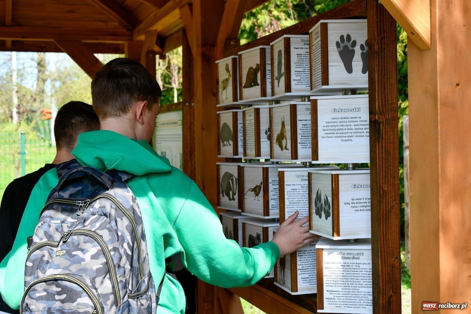 Zdjęcie w galerii na portalu naszraciborz.pl: Zielona edukacja na Śląsku. Powstaną 113 nowe ekopracownie, także w powiecie raciborskim wiadomości z regionu
