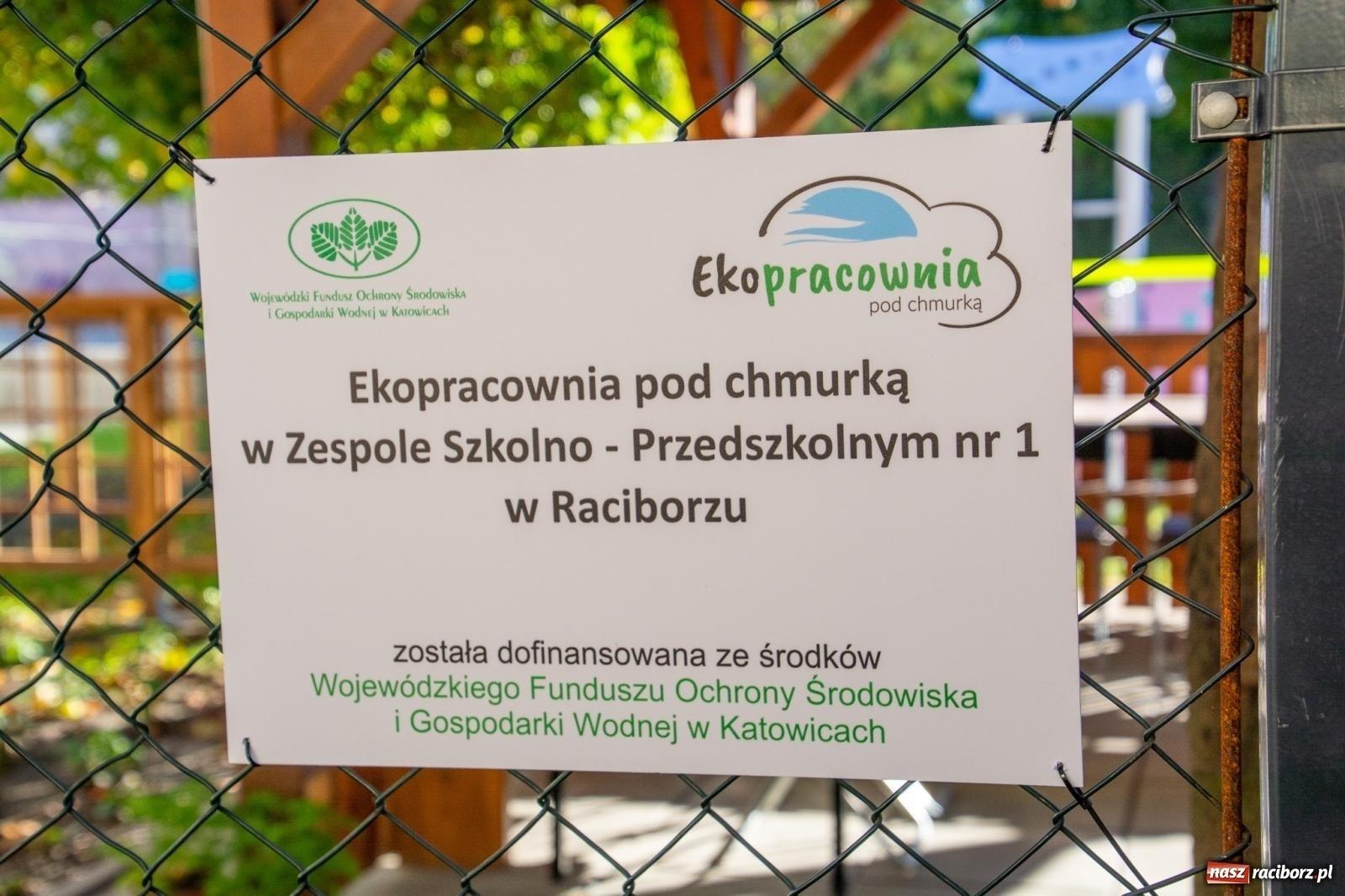 Zdjęcie w galerii na portalu naszraciborz.pl: Zielona edukacja na Śląsku. Powstaną 113 nowe ekopracownie, także w powiecie raciborskim wiadomości z regionu