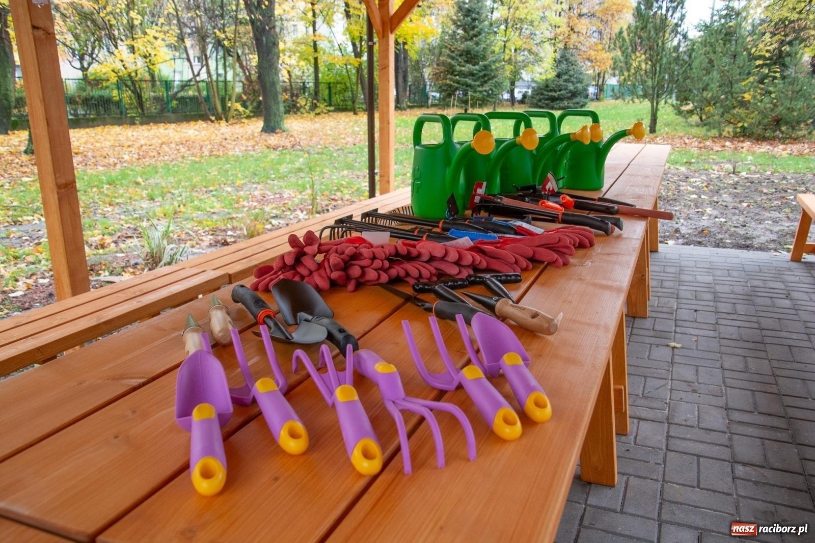 Zdjęcie w galerii na portalu naszraciborz.pl: Zielona edukacja na Śląsku. Powstaną 113 nowe ekopracownie, także w powiecie raciborskim wiadomości z regionu