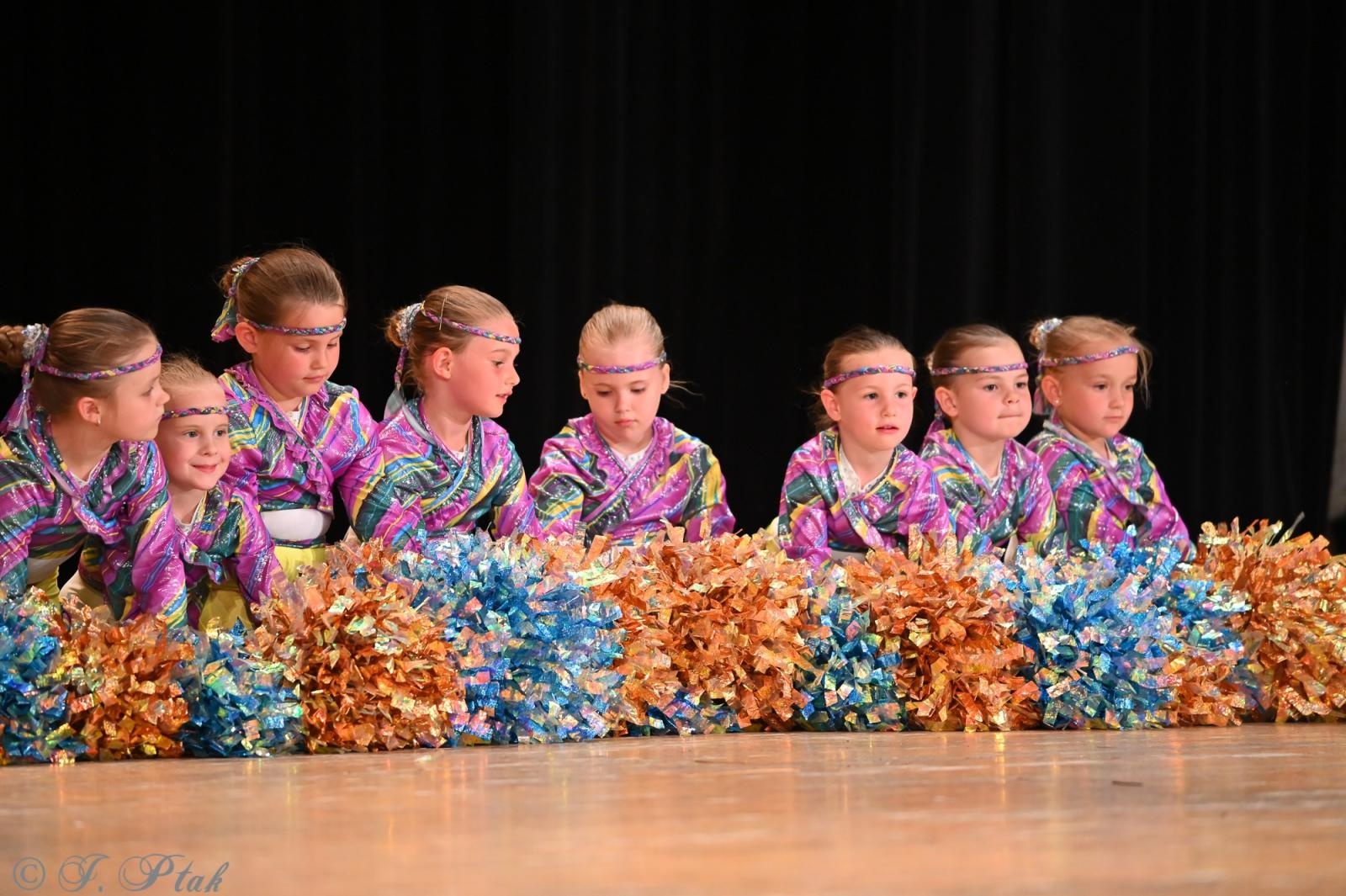 Zdjęcie w galerii na portalu naszraciborz.pl: Koncert w RCK zakończył XXIII Międzynarodowe Spotkania Artystyczne Śląsk – kraina wielu kultur wiadomości z regionu