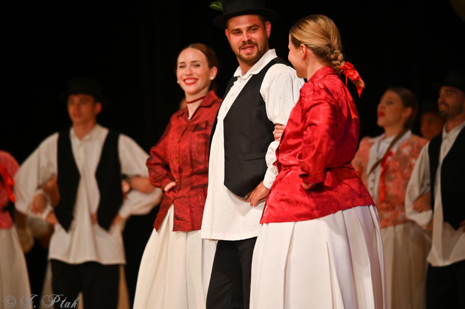 Zdjęcie w galerii na portalu naszraciborz.pl: Koncert w RCK zakończył XXIII Międzynarodowe Spotkania Artystyczne Śląsk – kraina wielu kultur wiadomości z regionu