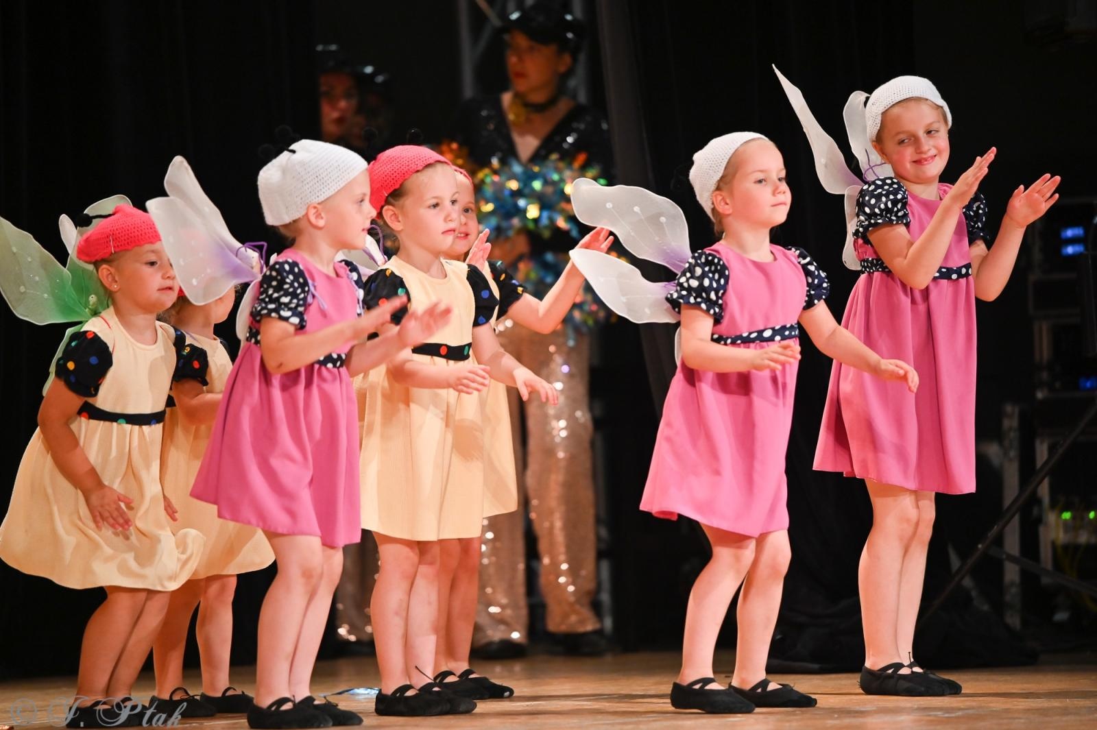 Zdjęcie w galerii na portalu naszraciborz.pl: Koncert w RCK zakończył XXIII Międzynarodowe Spotkania Artystyczne Śląsk – kraina wielu kultur wiadomości z regionu