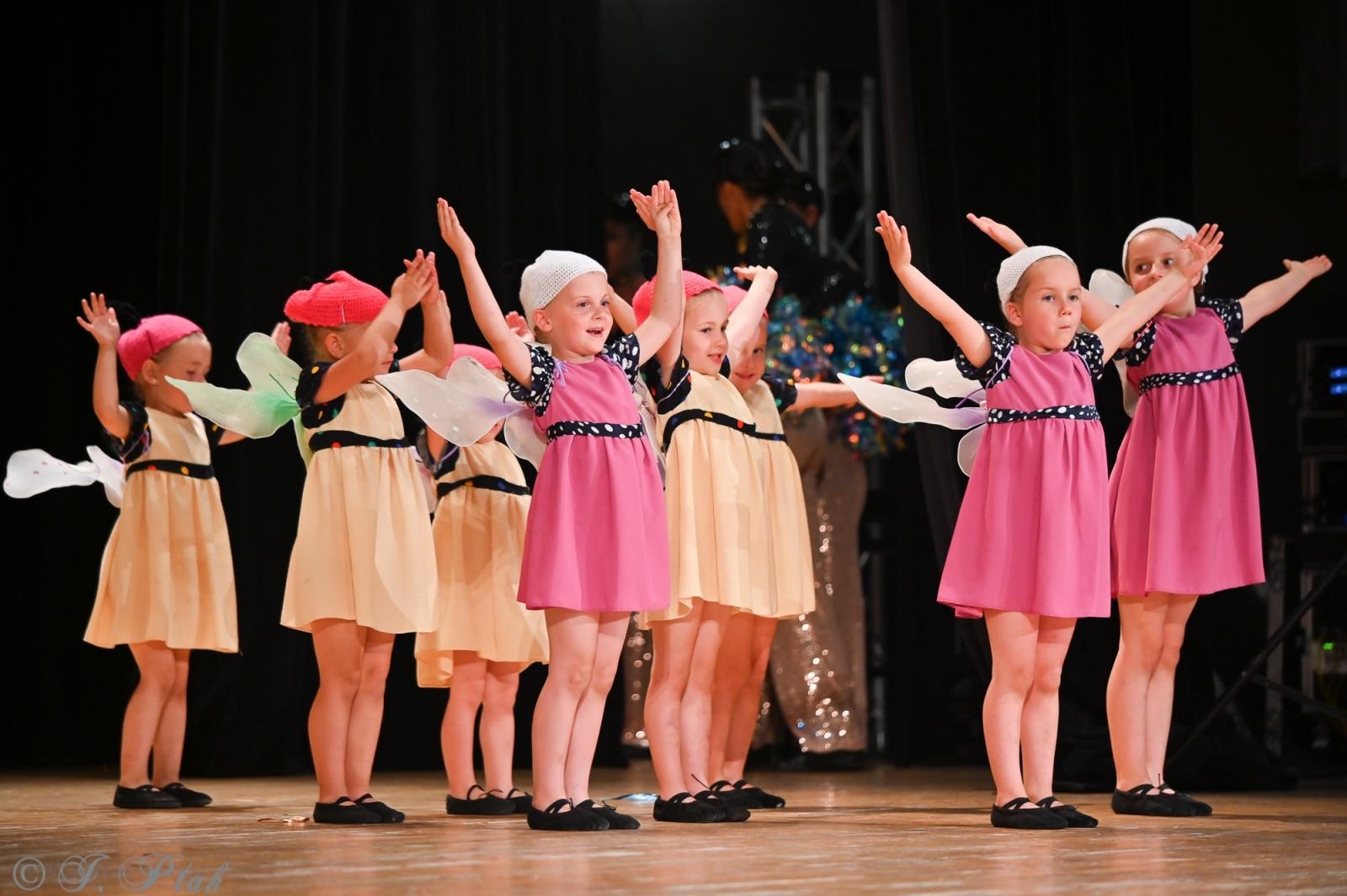 Zdjęcie w galerii na portalu naszraciborz.pl: Koncert w RCK zakończył XXIII Międzynarodowe Spotkania Artystyczne Śląsk – kraina wielu kultur wiadomości z regionu