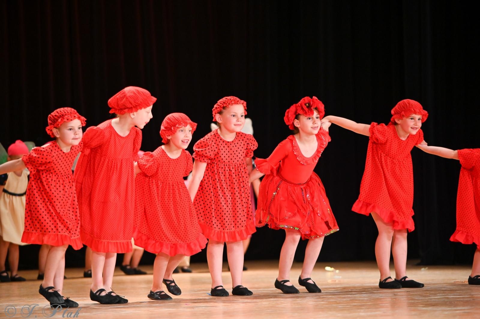Zdjęcie w galerii na portalu naszraciborz.pl: Koncert w RCK zakończył XXIII Międzynarodowe Spotkania Artystyczne Śląsk – kraina wielu kultur wiadomości z regionu