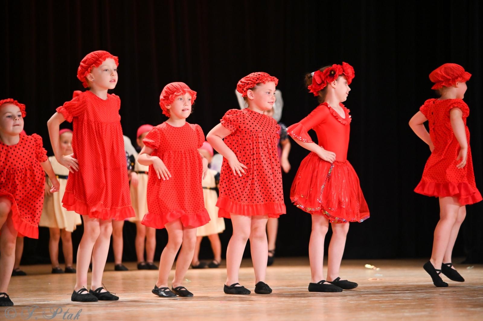 Zdjęcie w galerii na portalu naszraciborz.pl: Koncert w RCK zakończył XXIII Międzynarodowe Spotkania Artystyczne Śląsk – kraina wielu kultur wiadomości z regionu