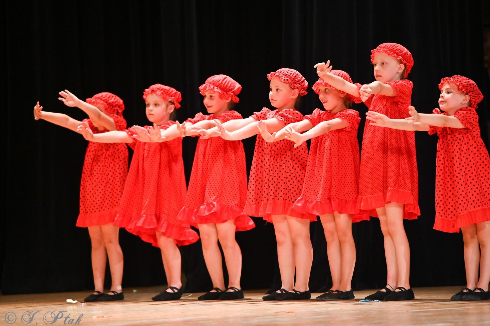 Zdjęcie w galerii na portalu naszraciborz.pl: Koncert w RCK zakończył XXIII Międzynarodowe Spotkania Artystyczne Śląsk – kraina wielu kultur wiadomości z regionu