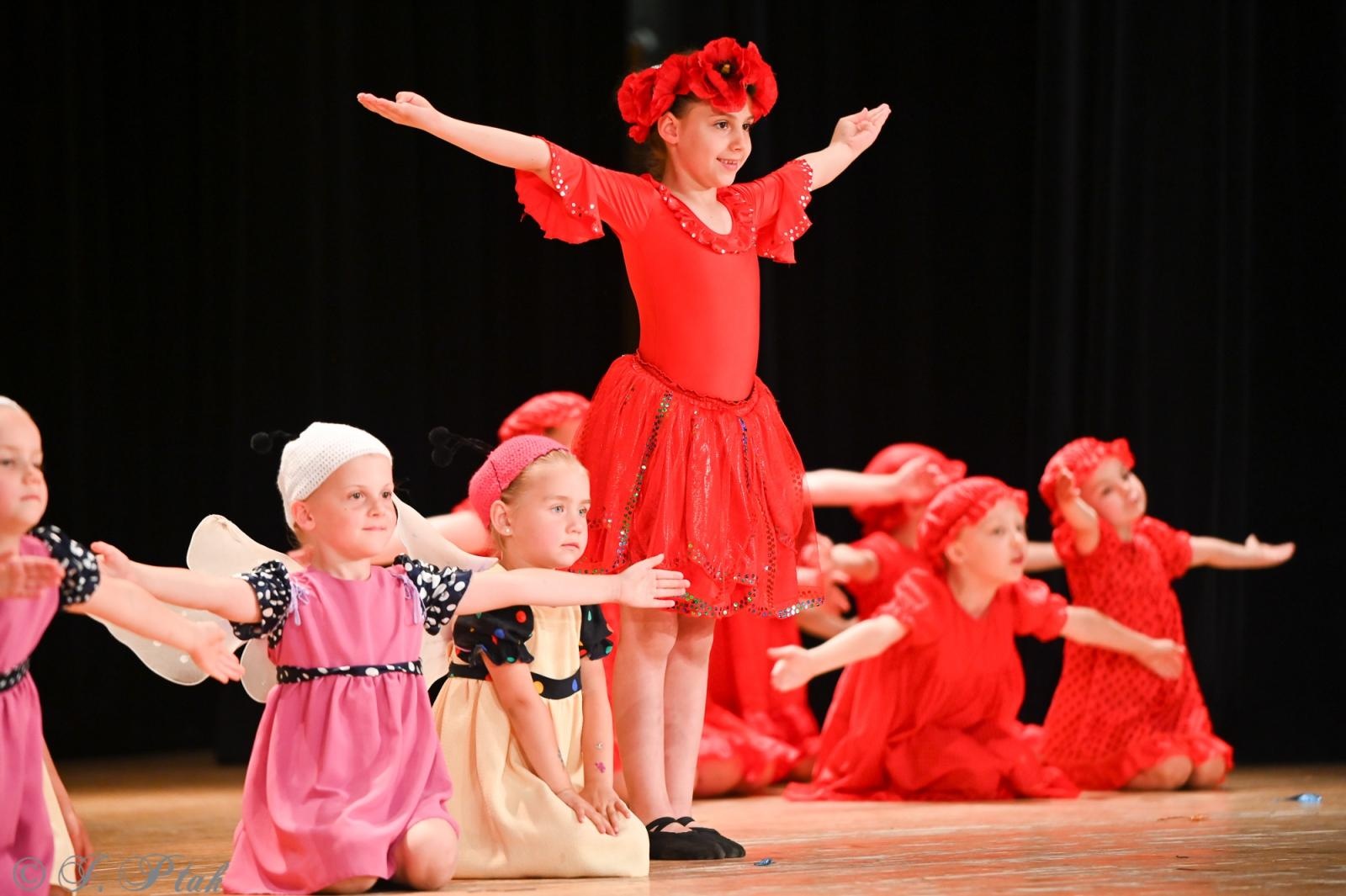 Zdjęcie w galerii na portalu naszraciborz.pl: Koncert w RCK zakończył XXIII Międzynarodowe Spotkania Artystyczne Śląsk – kraina wielu kultur wiadomości z regionu