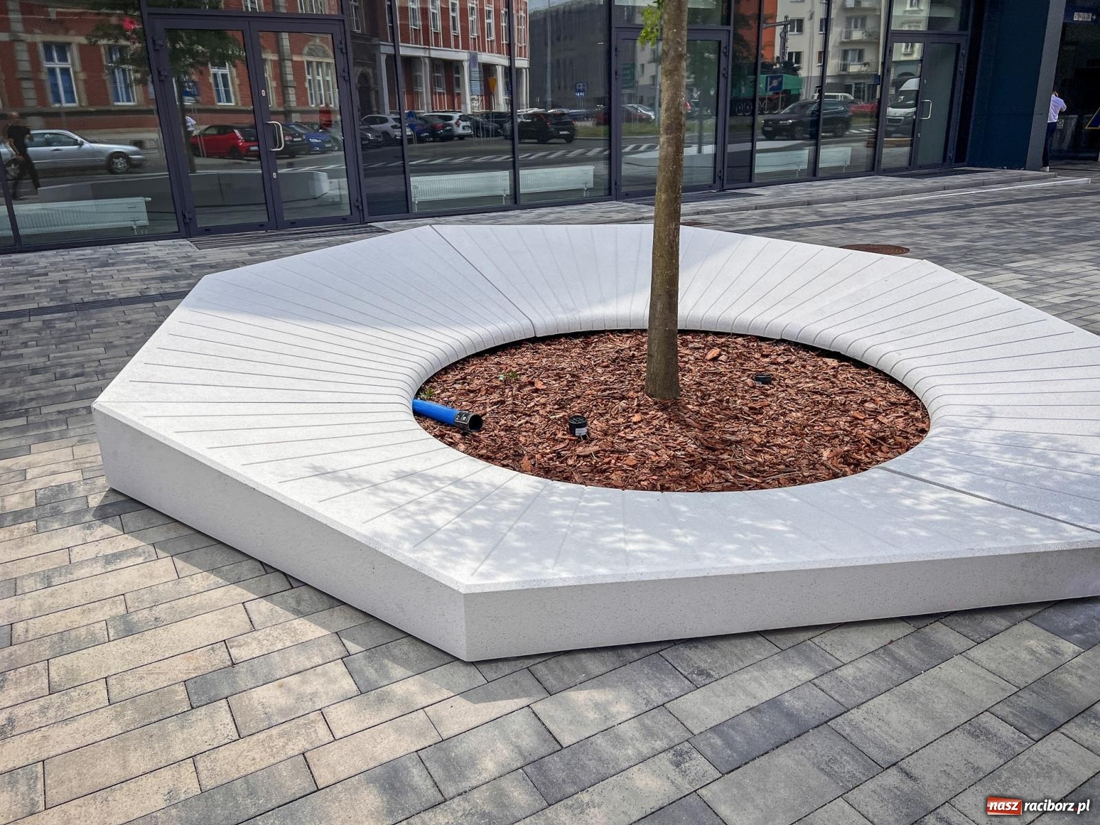 Zdjęcie w galerii na portalu naszraciborz.pl: Nowe donice przed dworcem PKP w Raciborzu już gotowe. Zrealizowano projekt za blisko 300 tys. zł wiadomości z regionu
