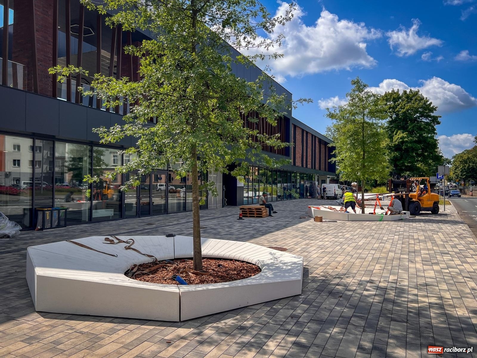 Zdjęcie w galerii na portalu naszraciborz.pl: Nowe donice przed dworcem PKP w Raciborzu już gotowe. Zrealizowano projekt za blisko 300 tys. zł wiadomości z regionu