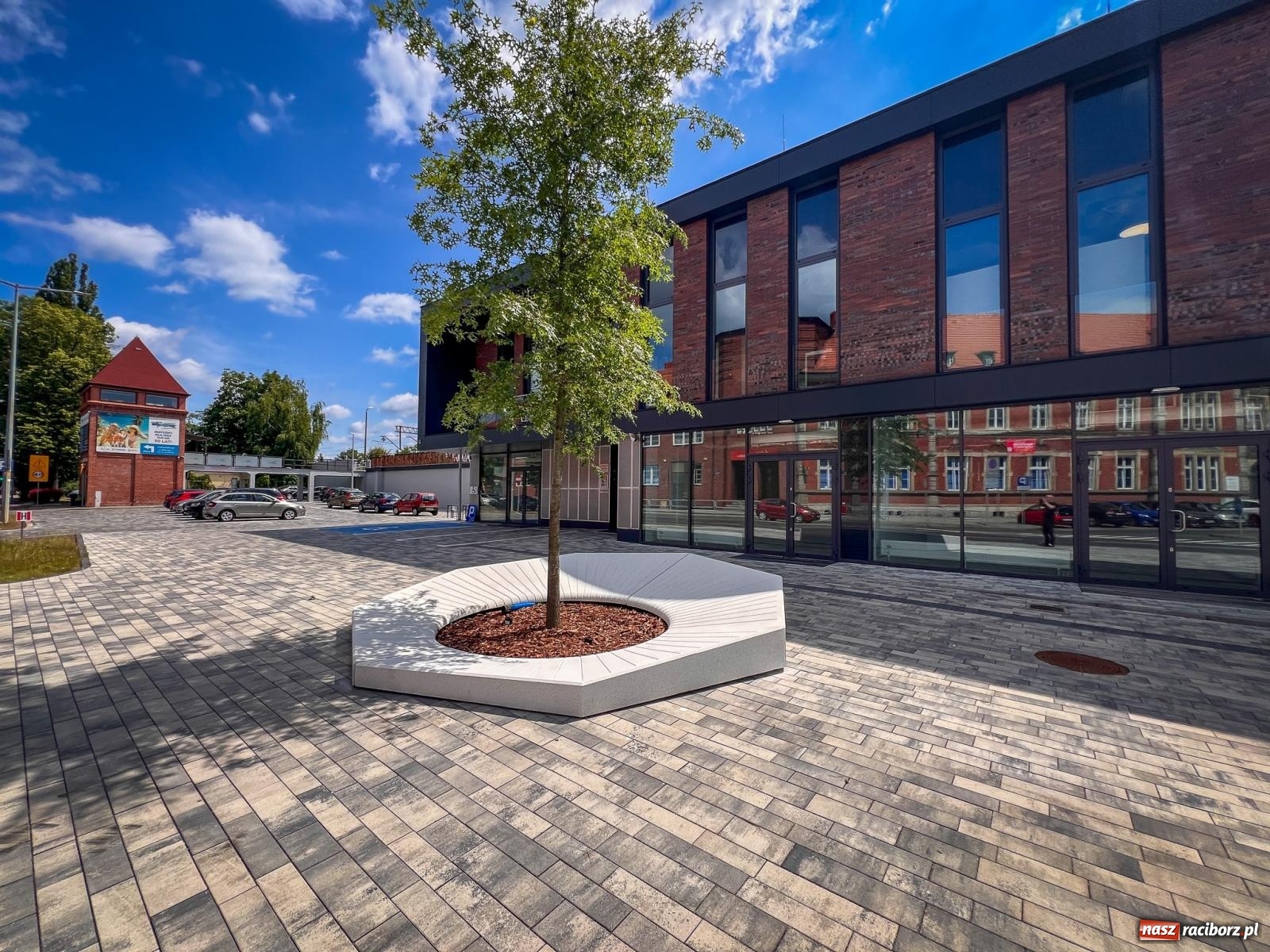 Zdjęcie w galerii na portalu naszraciborz.pl: Nowe donice przed dworcem PKP w Raciborzu już gotowe. Zrealizowano projekt za blisko 300 tys. zł wiadomości z regionu