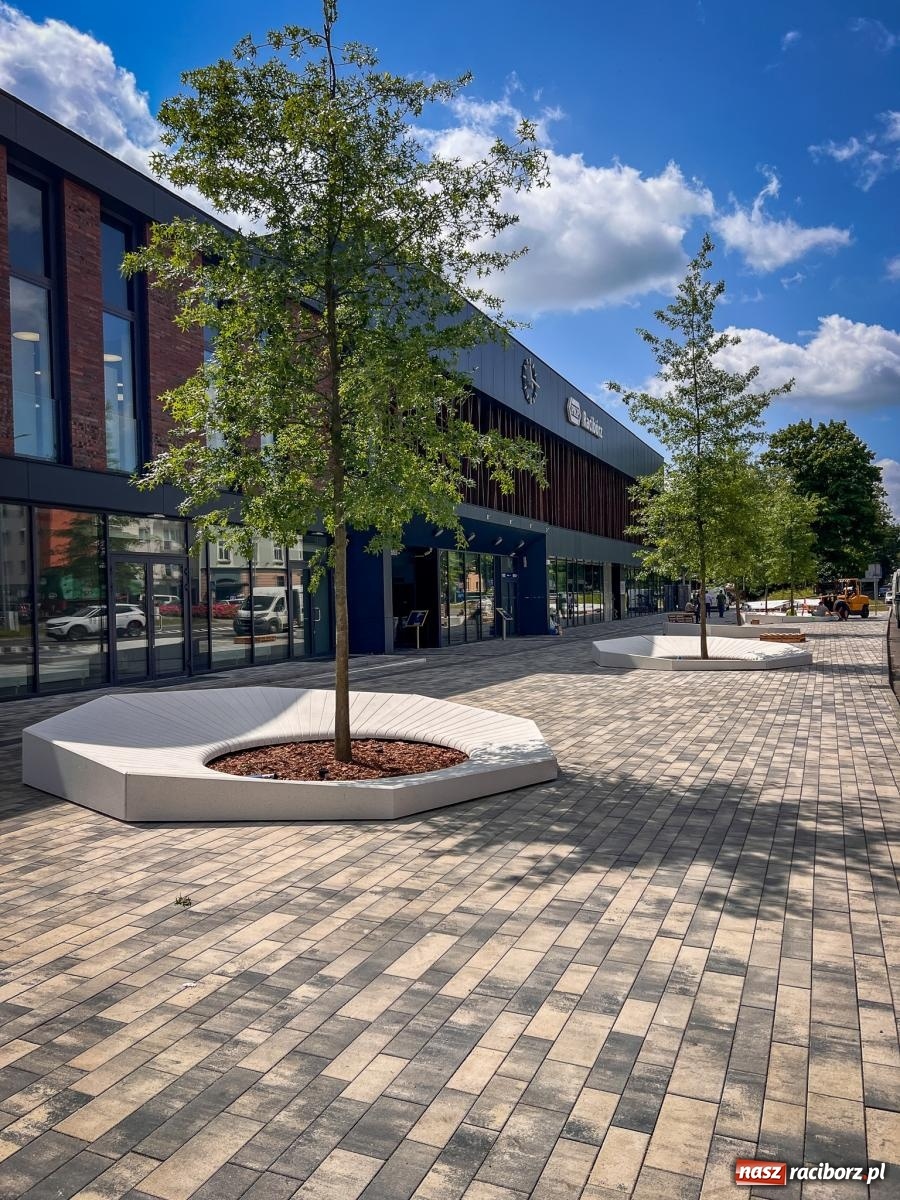 Zdjęcie w galerii na portalu naszraciborz.pl: Nowe donice przed dworcem PKP w Raciborzu już gotowe. Zrealizowano projekt za blisko 300 tys. zł wiadomości z regionu