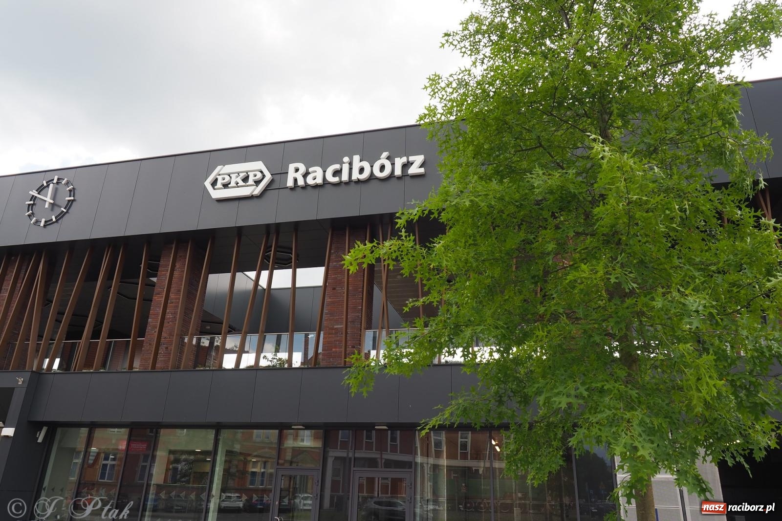 Zdjęcie w galerii na portalu naszraciborz.pl: Nowe donice przed dworcem PKP w Raciborzu już gotowe. Zrealizowano projekt za blisko 300 tys. zł wiadomości z regionu