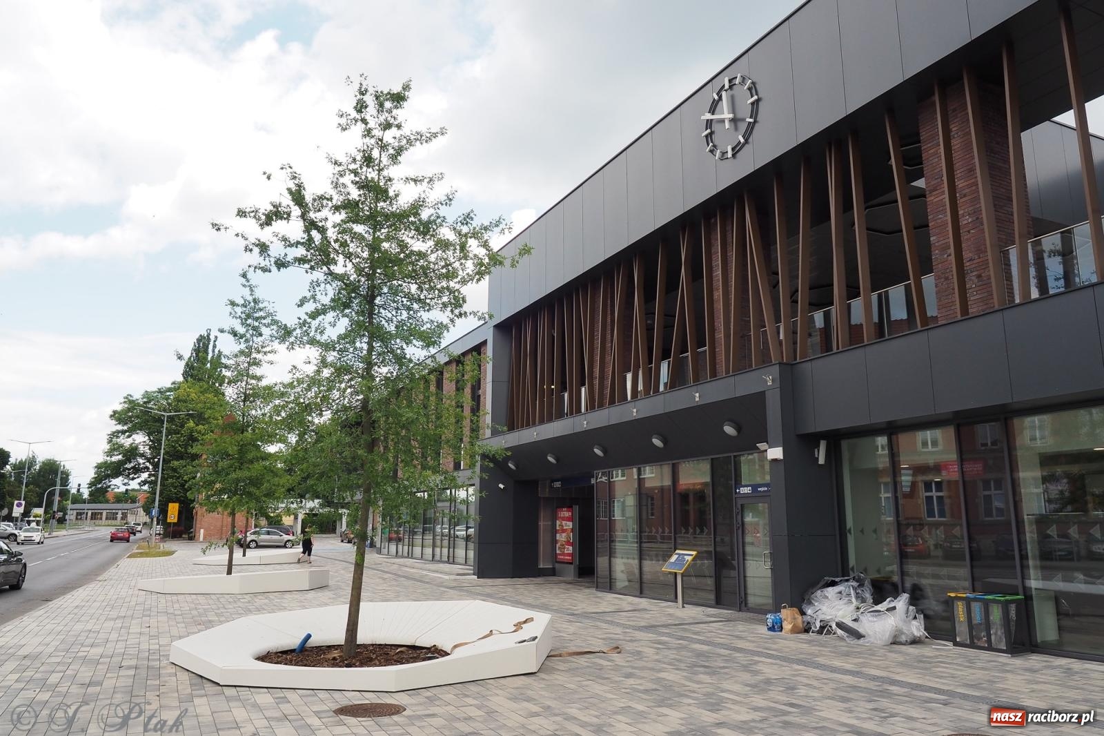 Zdjęcie w galerii na portalu naszraciborz.pl: Nowe donice przed dworcem PKP w Raciborzu już gotowe. Zrealizowano projekt za blisko 300 tys. zł wiadomości z regionu