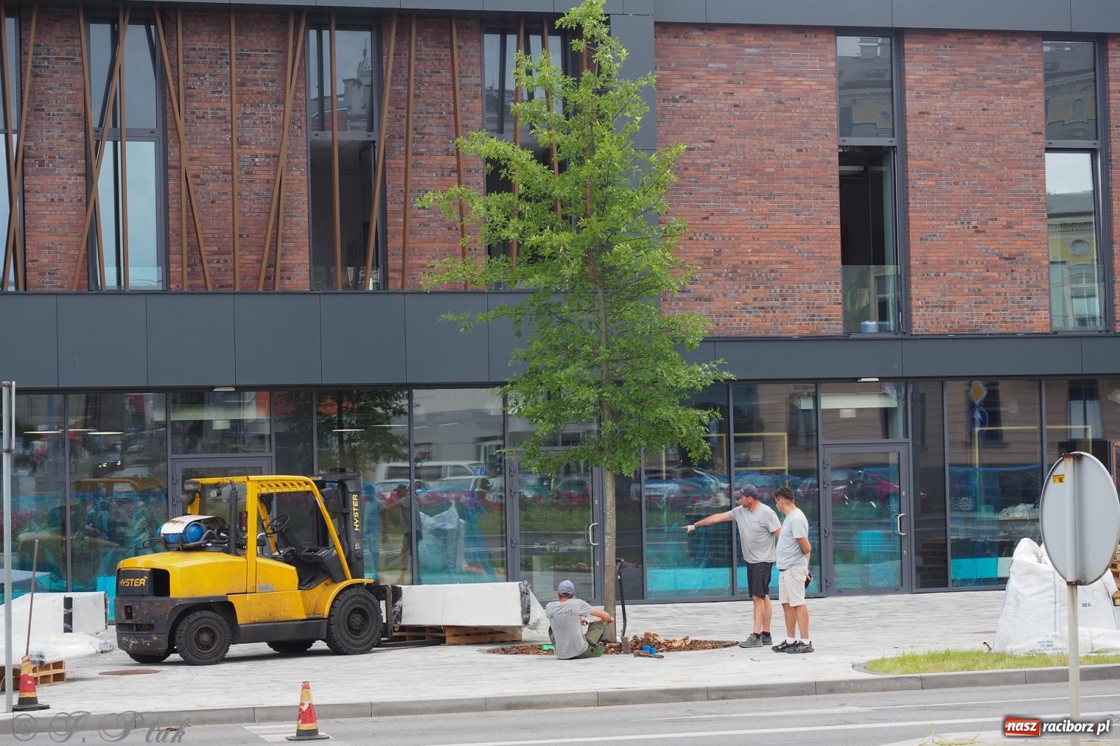 Zdjęcie w galerii na portalu naszraciborz.pl: Nowe donice przed dworcem PKP w Raciborzu już gotowe. Zrealizowano projekt za blisko 300 tys. zł wiadomości z regionu