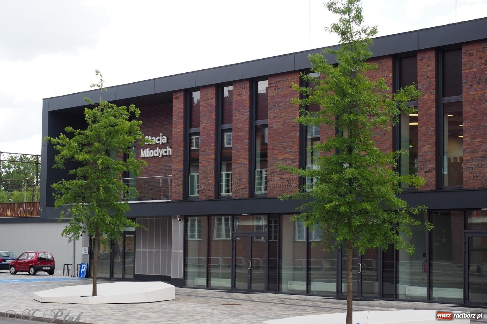 Zdjęcie w galerii na portalu naszraciborz.pl: Nowe donice przed dworcem PKP w Raciborzu już gotowe. Zrealizowano projekt za blisko 300 tys. zł wiadomości z regionu