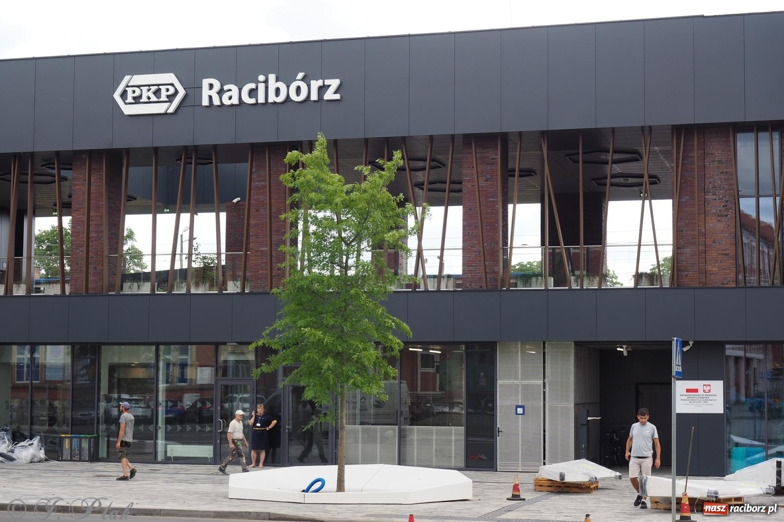 Zdjęcie w galerii na portalu naszraciborz.pl: Nowe donice przed dworcem PKP w Raciborzu już gotowe. Zrealizowano projekt za blisko 300 tys. zł wiadomości z regionu