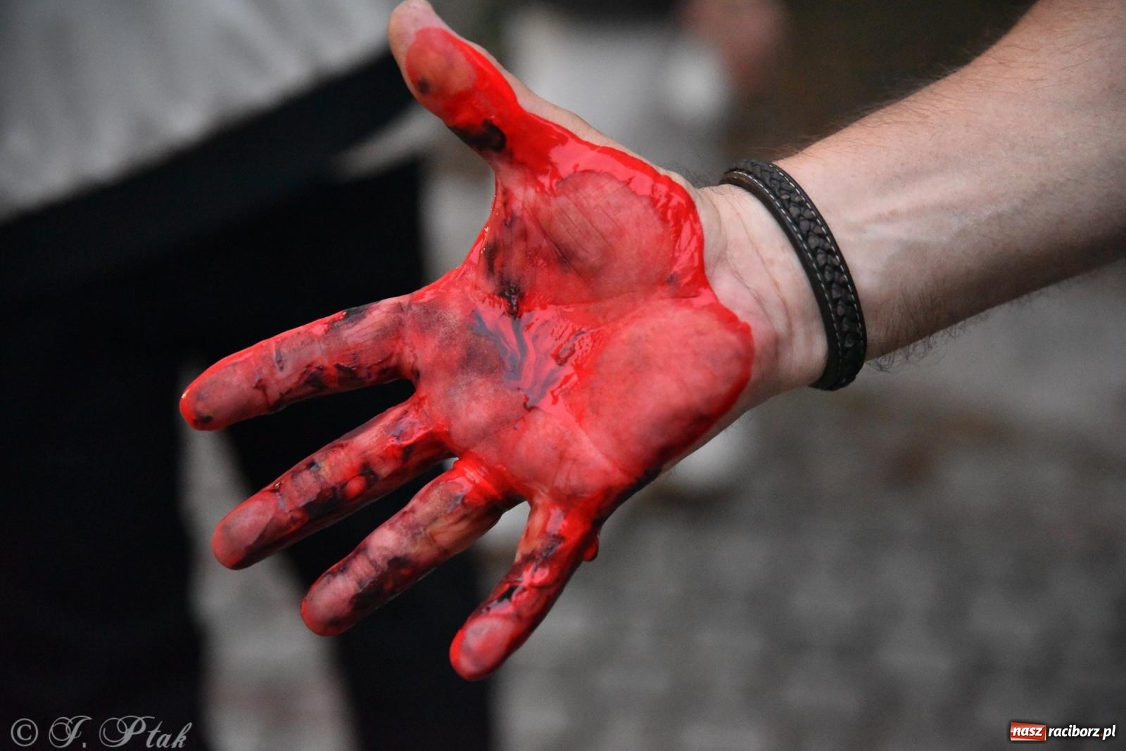 Zdjęcie w galerii na portalu naszraciborz.pl: III Noc Kultury Pod Strzechą – Raciborskie Centrum Kultury zaskoczyło po raz kolejny wiadomości z regionu