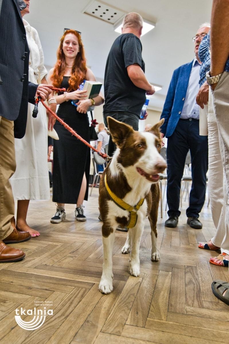 Zdjęcie w galerii na portalu naszraciborz.pl: Uroczyste odsłonięcie tablicy pamięci profesora Marka Gedla w Kietrzu – hołd dla wybitnego archeologa i badacza historii miasta wiadomości z regionu