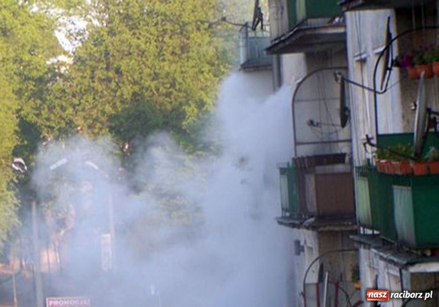 Zdjęcie w galerii na portalu naszraciborz.pl: Zwarcie w telewizorze powodem pożaru wiadomości z regionu