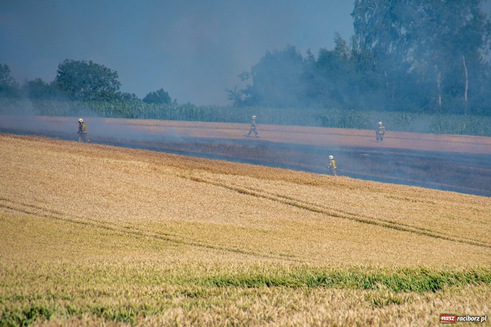 Zdjęcie w galerii na portalu naszraciborz.pl: Niebezpieczna niedziela w powiecie raciborskim – pożar zboża, tlenek węgla i skutki silnego wiatru wiadomości z regionu