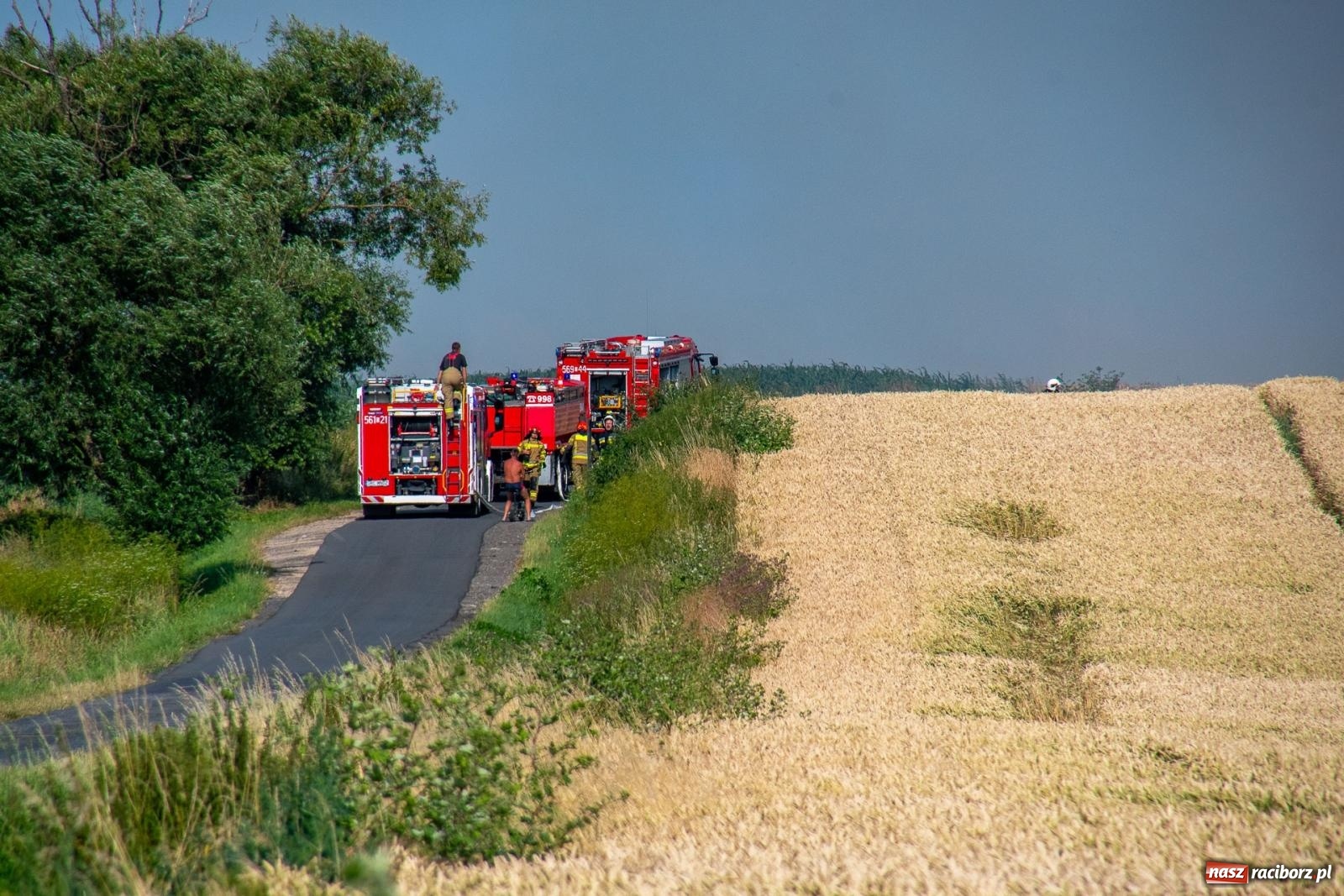 Zdjęcie w galerii na portalu naszraciborz.pl: Niebezpieczna niedziela w powiecie raciborskim – pożar zboża, tlenek węgla i skutki silnego wiatru wiadomości z regionu