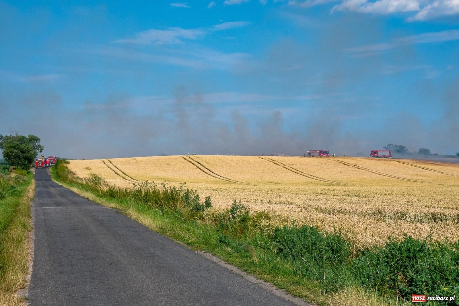 Zdjęcie w galerii na portalu naszraciborz.pl: Niebezpieczna niedziela w powiecie raciborskim – pożar zboża, tlenek węgla i skutki silnego wiatru wiadomości z regionu