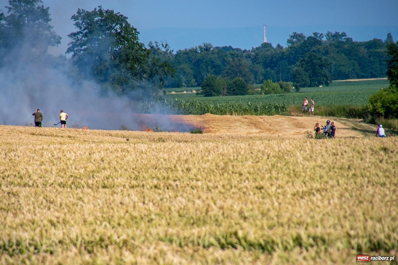 Zdjęcie w galerii na portalu naszraciborz.pl: Niebezpieczna niedziela w powiecie raciborskim – pożar zboża, tlenek węgla i skutki silnego wiatru wiadomości z regionu